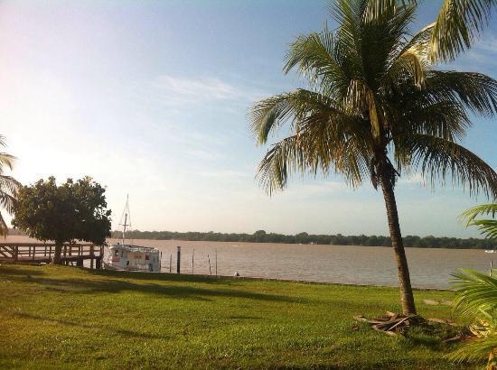 Universidade Federal do Para