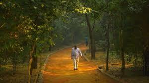 Sanjay Van Forest