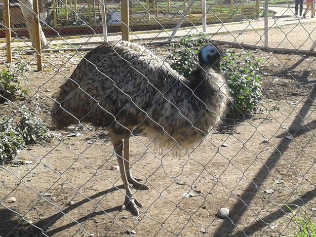 Parque Pedro de Valdivia