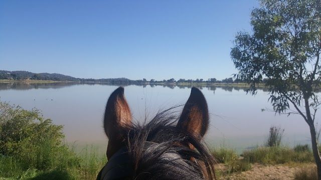 Wagga Wagga Country Club