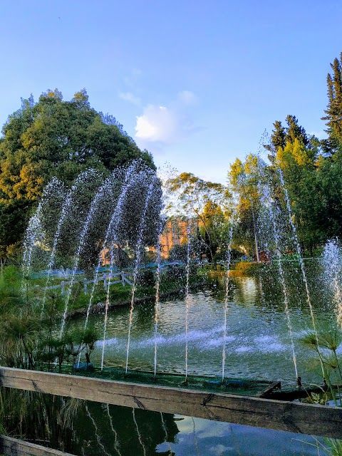 Parque metropolitano El Lago