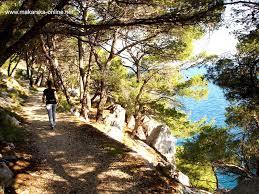 Forrest park Osejava