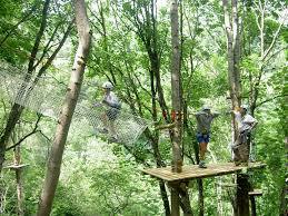 La foret des aventuriers