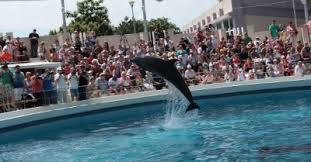 The Museum of Natural Sciences Constanța