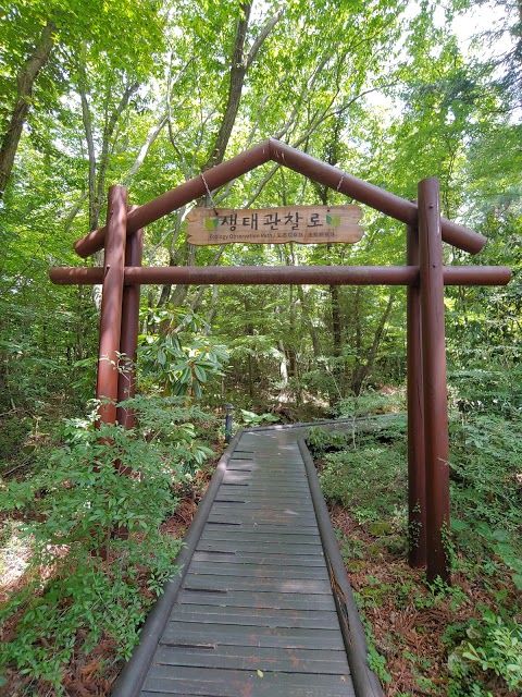 Seogwipo Natural Recreation Park