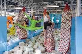 Palangos vasaros parkas