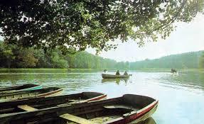 Zoologischer Garten Hermannstadt