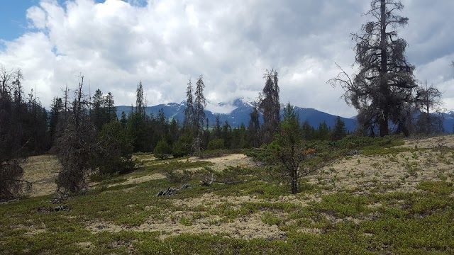 Jackman Flats Provincial Park