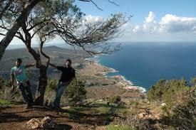 Larnaca Salt Lake Trail