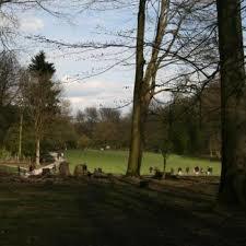 Grafenberger Forrest