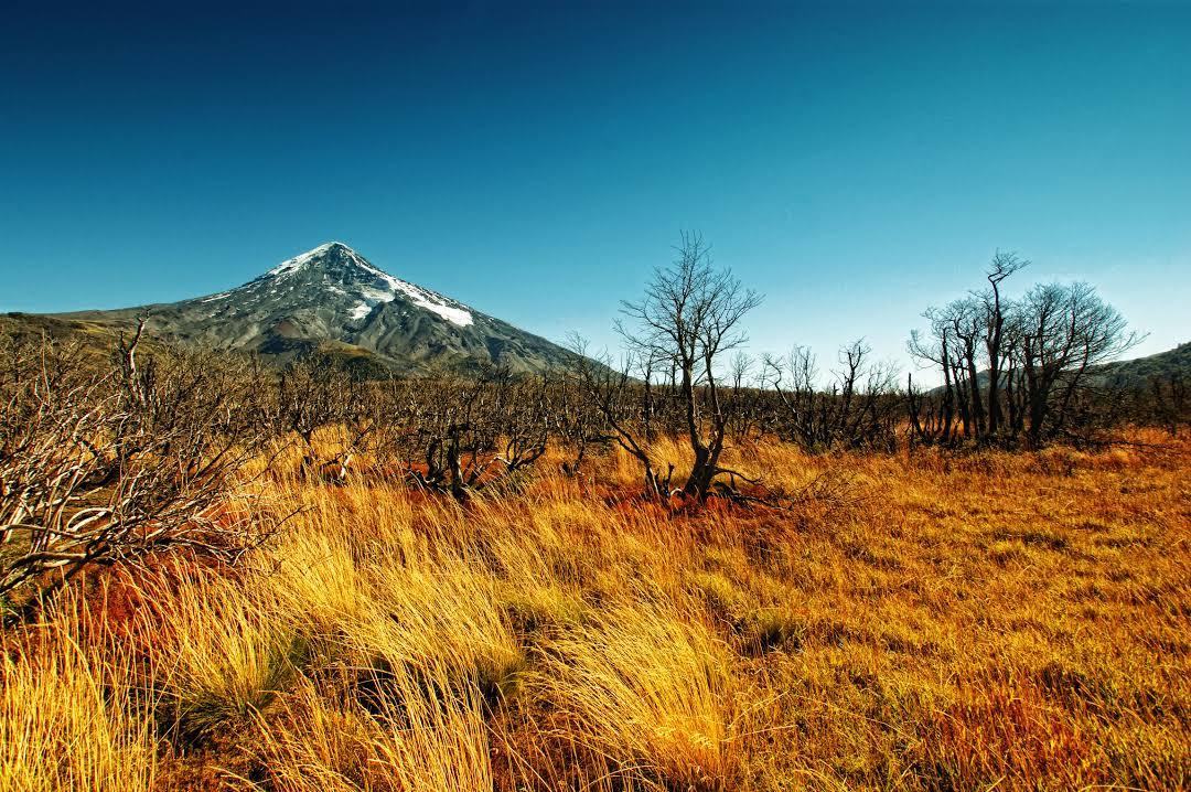 Parque Nacional Lanín