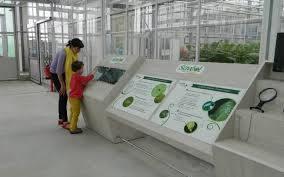 La ferme aux insectes