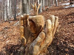 Sentiero Delle Espressioni