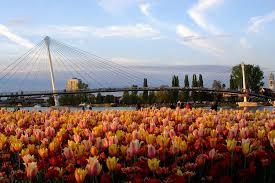 Garten der zwei Ufer