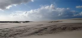 Naturhistorisk Museum Skagen