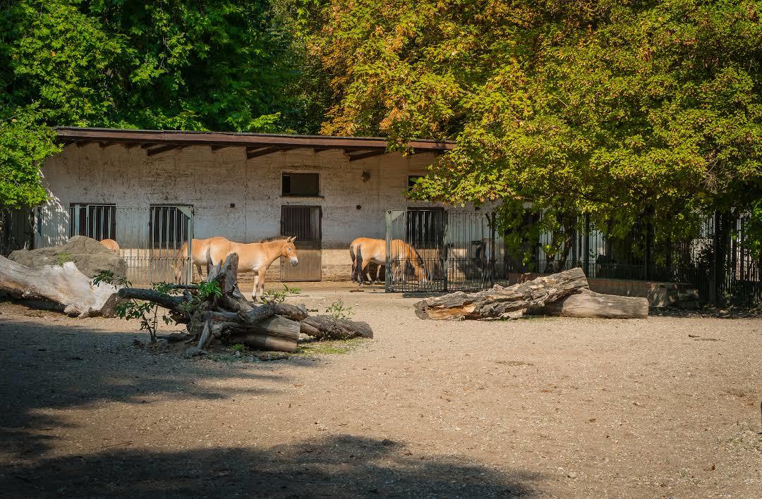 Leipzig zoologiske have