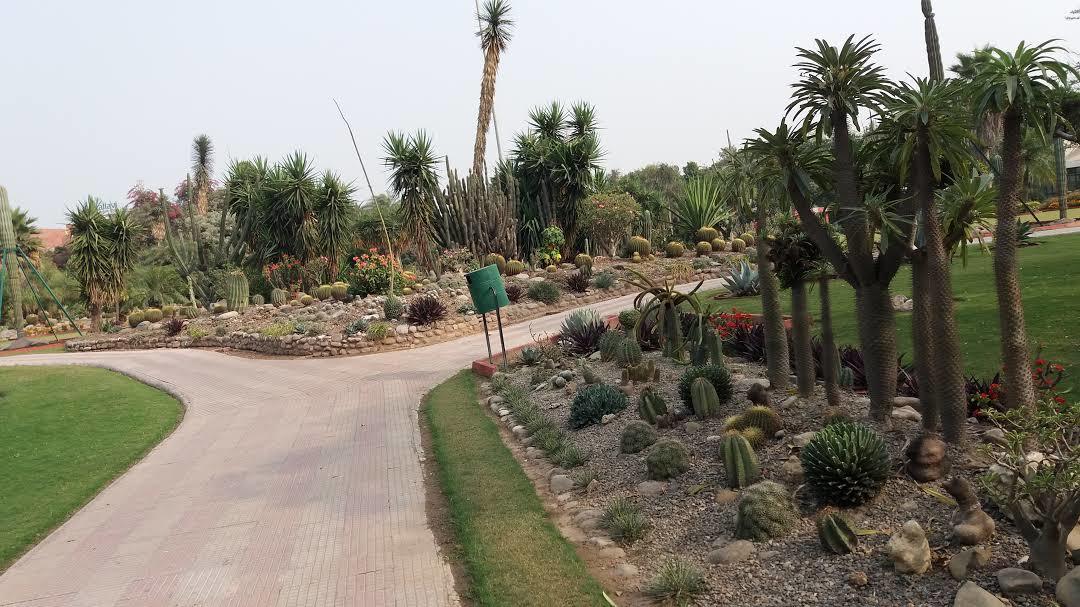 National Cactus and Succulent Botanical Garden and Research Centre