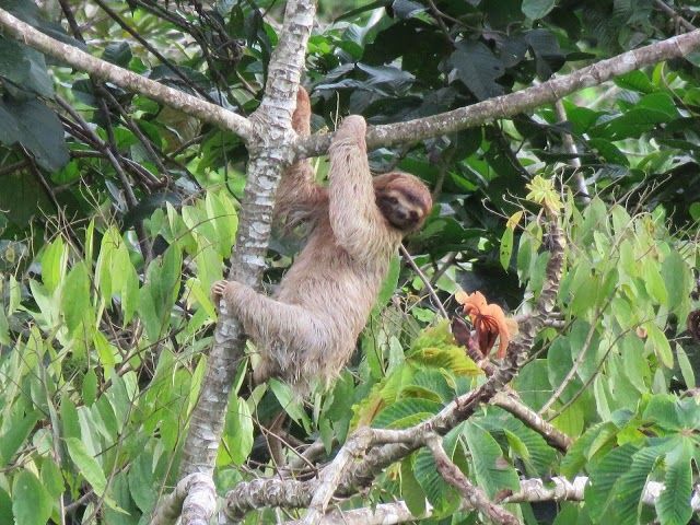 La Tarde Wildlife Area