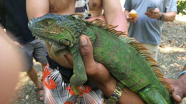 Caribeans Chocolate and Coffee