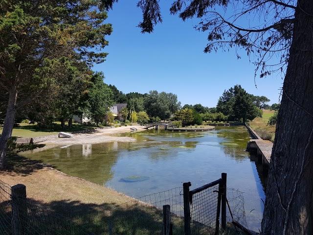 Golf Bluegreen Baden