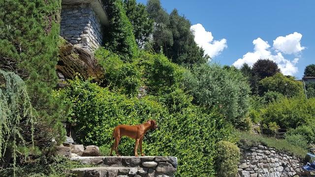 Bar Sport Sas Di Orio Lorenzotiziano & C