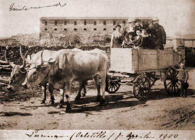 Antica Fattoria La Parrina