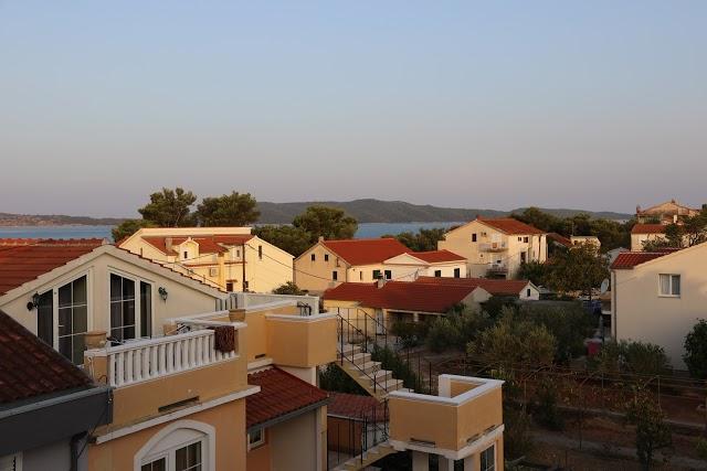 Pansion Zlatna ribica