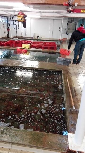 Viviers Dauphin Sarl