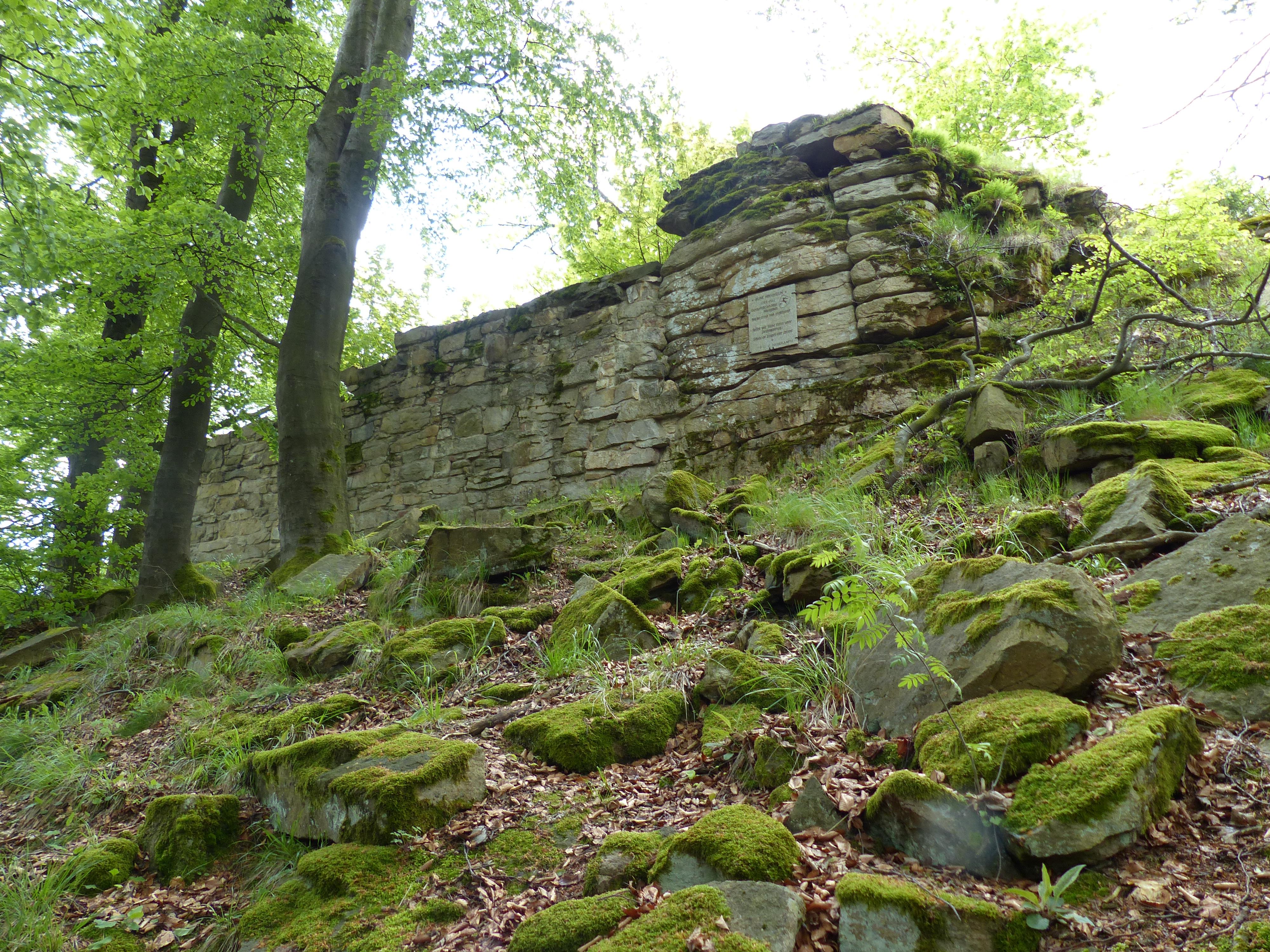Ruine Hirschstein