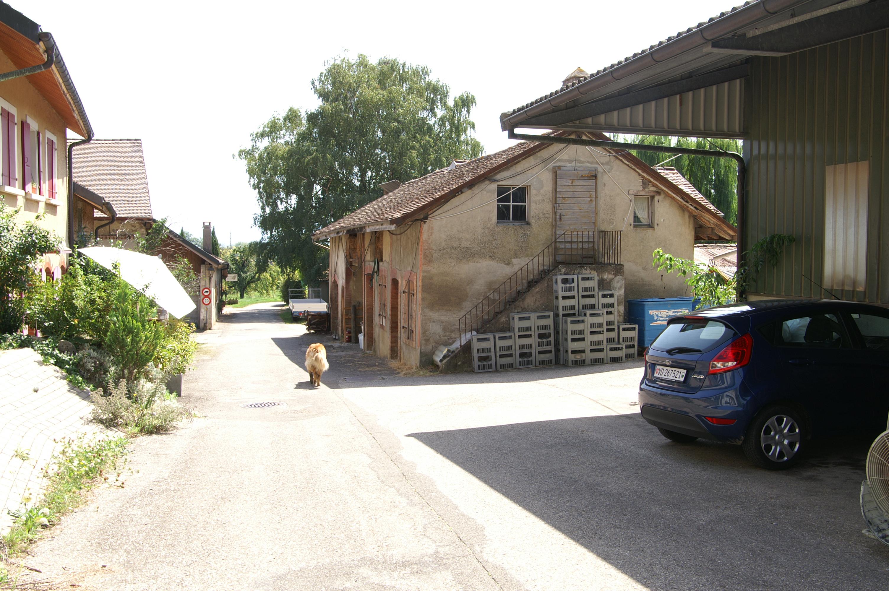 Tuilerie de Vinzel avec four Hoffmann