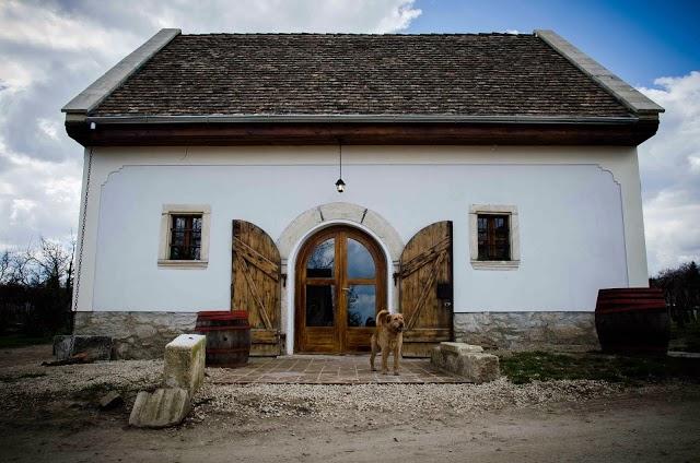 EtyekM. Winery Restaurant