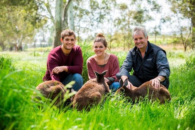 Woodstock Wine Estate