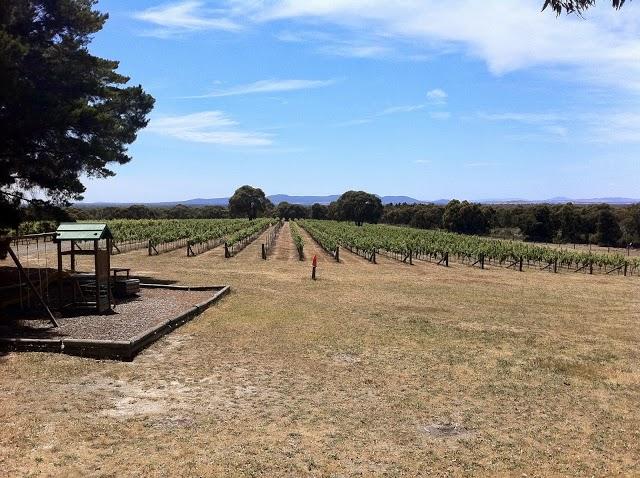 Fallen Giants Vineyard