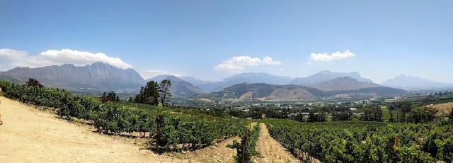 Dieu Donne Vineyards