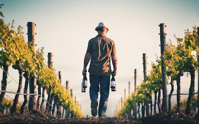 Rock Ferry Cellar Door & Cafe