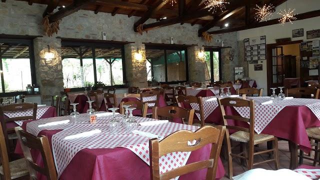 Trattoria Il Vigneto
