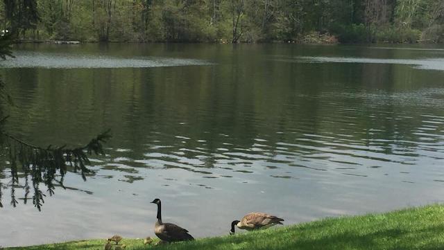 MINT - Lakeside Indian Dining & Bar