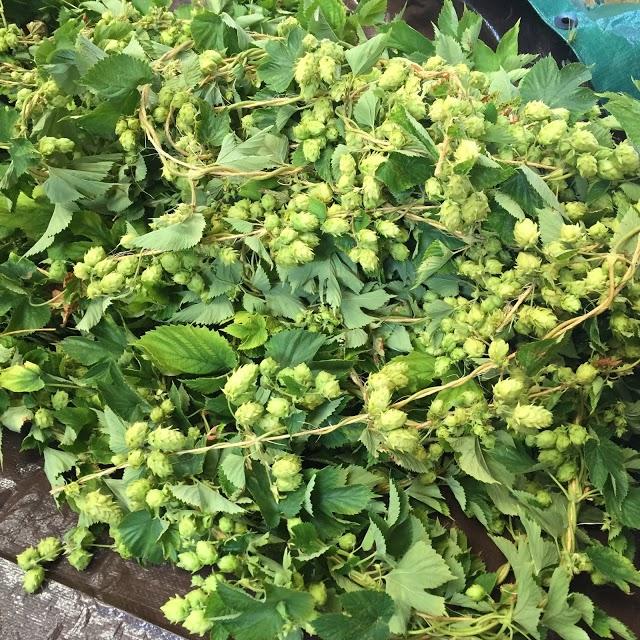 The Brewery Shop at North Coast Brewing Co