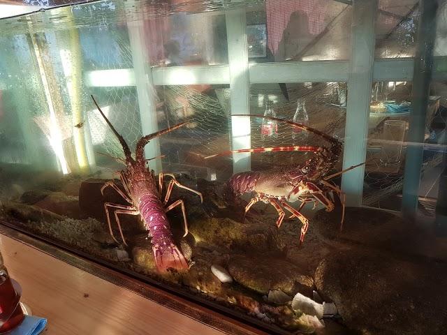 Restaurant Mirakul Vela Luka