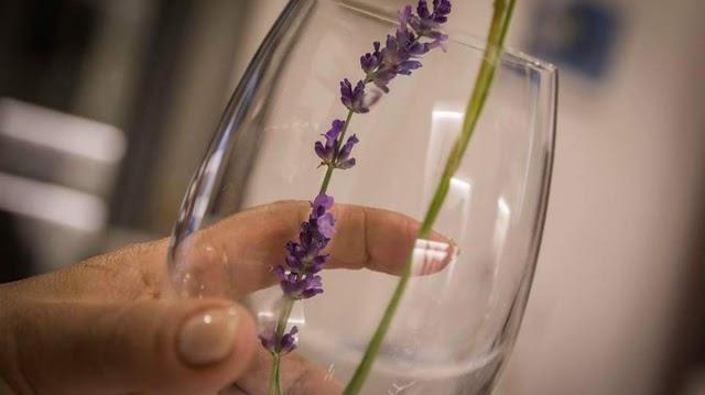 Bianca Zita Ristorante