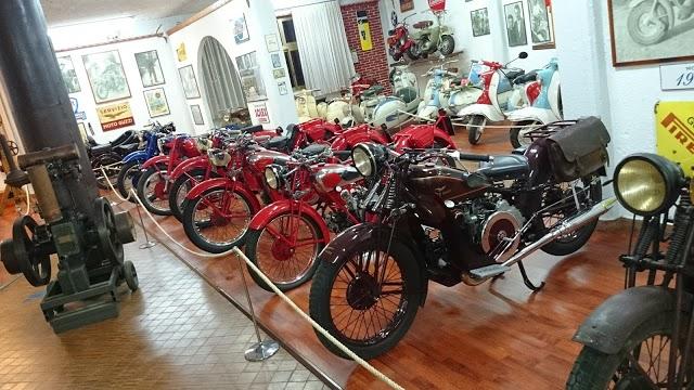 Pizzeria Il Selvatico