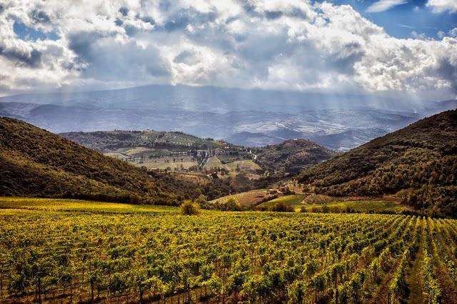 Az. Agr. La Magia Di Schwarz Fabian