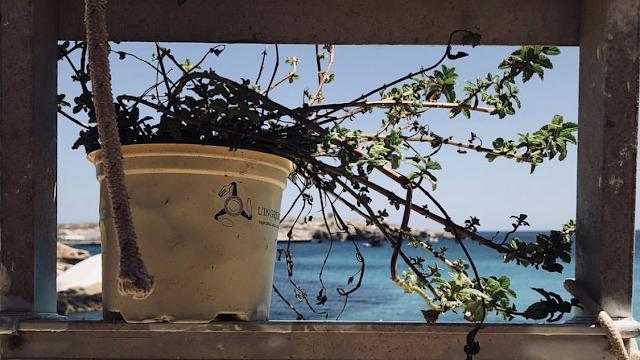 Ristorante u'calacciuni