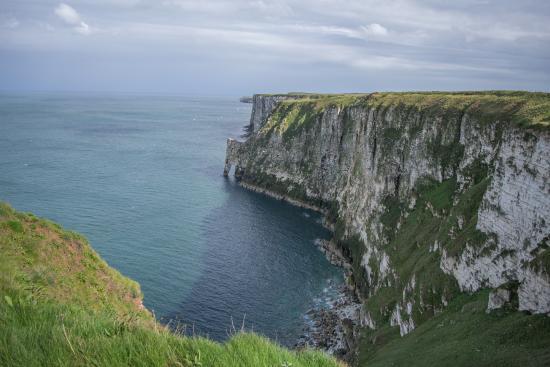 RSPB Bempton Cliffs