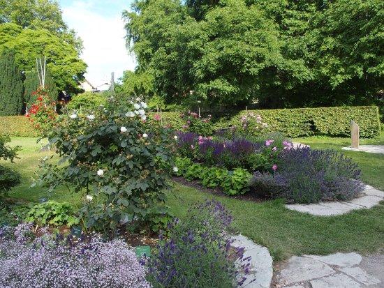 Botaniska Trädgården