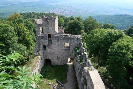 Château du Bernstein