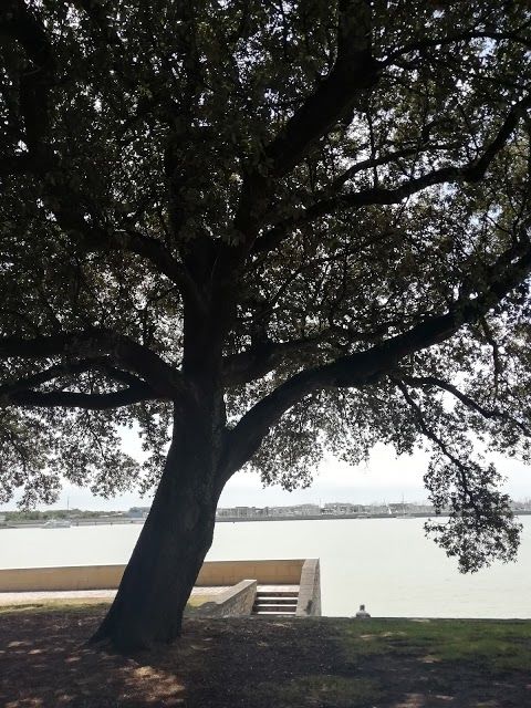 Parc Alcide d'Orbigny