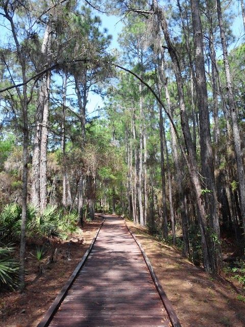 Audubon Bird Sanctuary