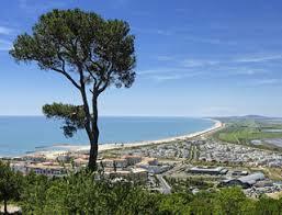 Pierres Blanches Forest