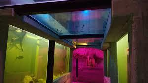 Podwodny Swiat Zakopane